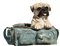 dog - bezmaksas png animēts GIF