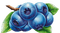 blueberries Bb2 - gratis png geanimeerde GIF