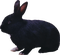 Kaz_Creations Rabbit - nemokama png animuotas GIF