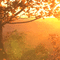 Background Autumn - Zdarma animovaný GIF animovaný GIF
