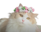 DD cat spring flower crown - Free PNG Animated GIF