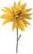 Kaz_Creations Deco Flowers Flower Yellow