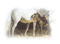 Chevaux - gratis png animeret GIF