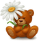 Kaz_Creations Cute Animals Bear