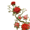 ROSAS - 免费PNG 动画 GIF