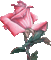 fleurs ( - Бесплатный анимированный гифка анимированный гифка