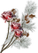 winter snow red flowers sunshine3 - безплатен png анимиран GIF
