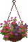 Bloemen en Planten - 免费动画 GIF 动画 GIF