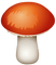 Kaz_Creations  Mushrooms Mushroom - zdarma png animovaný GIF