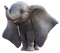 ✶ Dumbo {by Merishy} ✶ - бесплатно png анимированный гифка