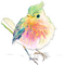 soave deco bird pastel spring rainbow - png gratuito GIF animata