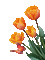 Fleur papillon-tulipe - GIF animé gratuit GIF animé