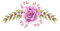 kikkapink border flower