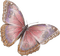 mariposa - ücretsiz png animasyonlu GIF