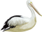 birds anastasia - безплатен png анимиран GIF