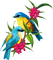 Birds bp - PNG gratuit GIF animé