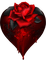 rose red rot black - darmowe png animowany gif