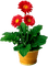 Kaz_Creations Flowers Plant Deco Vase