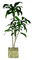 Plant.Pot.Plante.Room.Deco.Victoriabea - Free PNG Animated GIF