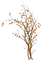 Осень-куст. - Free PNG Animated GIF