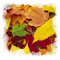 Kaz_Creations Autumn Paysage Scenery - бесплатно png анимированный гифка