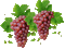 deco autumn automne berry grapes raisin