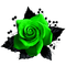 Gothic.Rose.Black.Green - zdarma png animovaný GIF