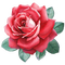 Rose, Rot - PNG gratuit GIF animé