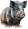 Farm Pig - kostenlos png Animiertes GIF