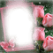 Frame pink roses - darmowe png animowany gif