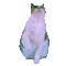 kitty cat dancing gif - Free animated GIF Animated GIF
