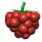 fruit - Bezmaksas animēts GIF animēts GIF