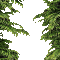 frame forest - Darmowy animowany GIF animowany gif