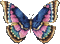 farfalla - GIF animado gratis GIF animado