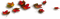 Hojas de otoño - безплатен png анимиран GIF
