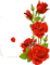 kikkapink corner spring rose flowers red - Free PNG Animated GIF
