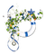 Cluster.Summer.Blue.White.Orange.Green - 免费PNG 动画 GIF