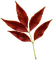 MINOU-RED-BLADKVIST-leafy branch - PNG gratuit GIF animé