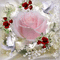 roses - Nitsa - Безплатен анимиран GIF анимиран GIF