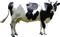 vaca  dubravka4 - png gratuito GIF animata