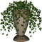Plante - ilmainen png animoitu GIF
