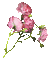 soave deco flowers animated branch rose pink - Бесплатный анимированный гифка анимированный гифка