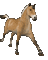 fjord horse galloping - GIF animé gratuit GIF animé