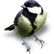 birds anastasia - png gratuito GIF animata
