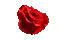 New roses Augenia made with love. - Δωρεάν κινούμενο GIF κινούμενο GIF