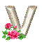 letter v - Δωρεάν κινούμενο GIF κινούμενο GIF