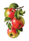 pomme - Free PNG Animated GIF