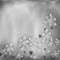 gray-bg-flower-minou52 - безплатен png анимиран GIF