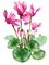 flores  primavera dubravka4 - png gratis GIF animasi