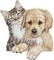 chien et chat - бесплатно png анимированный гифка